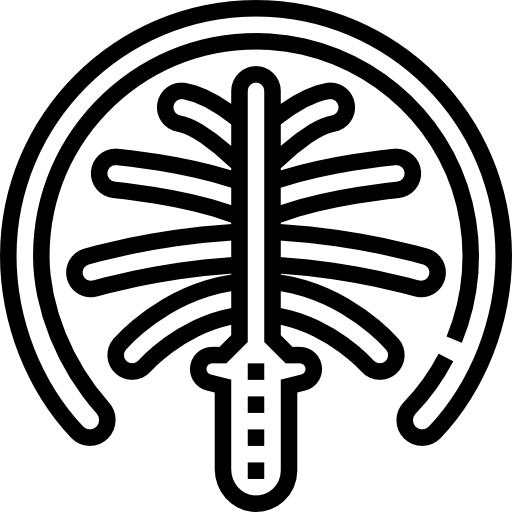 palm islands.png