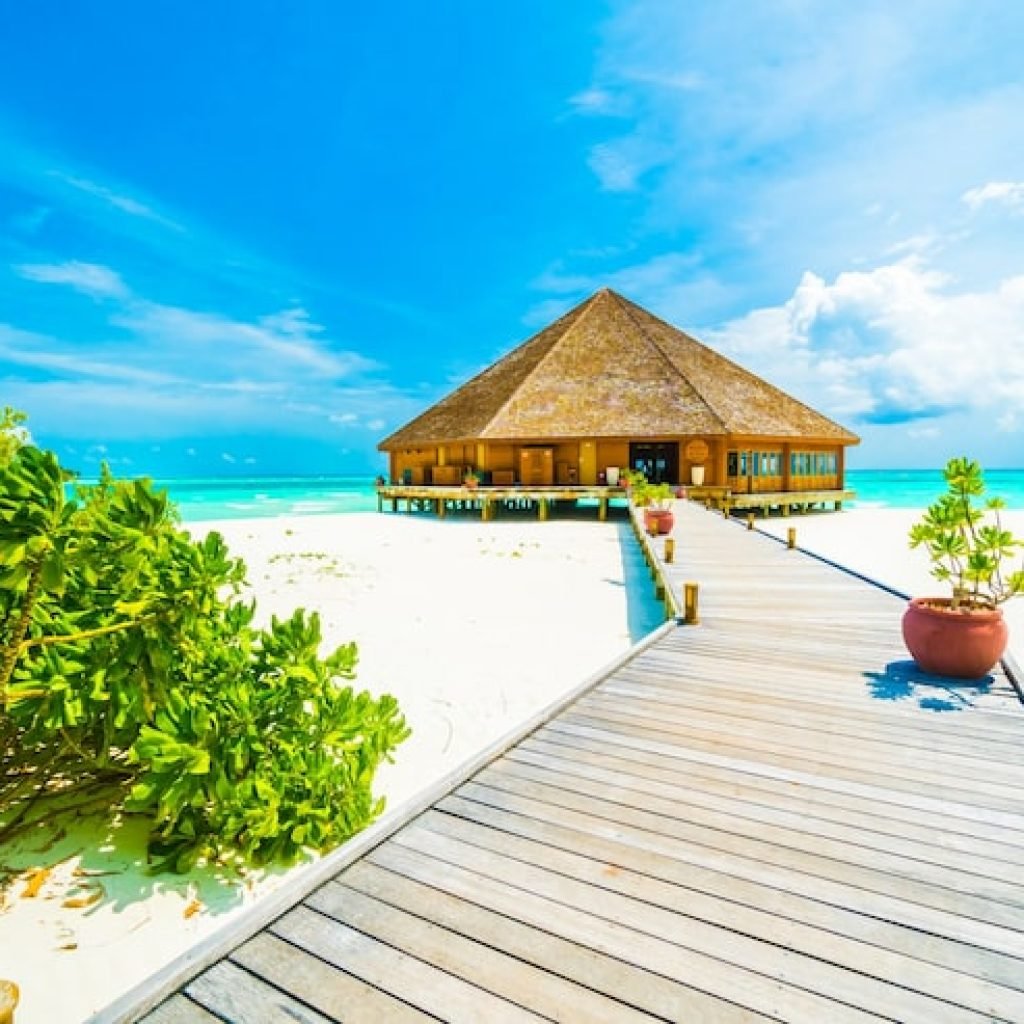 tree holiday beautiful summer lagoon 1203 5340