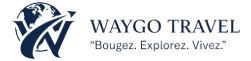 web colored logo